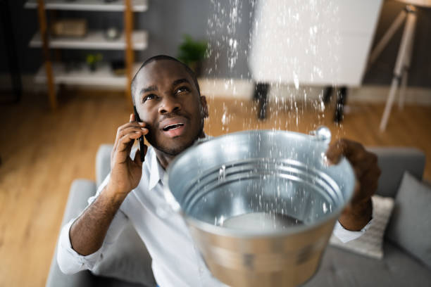 Best Water damage restoration near me  in Woodbine, GA
