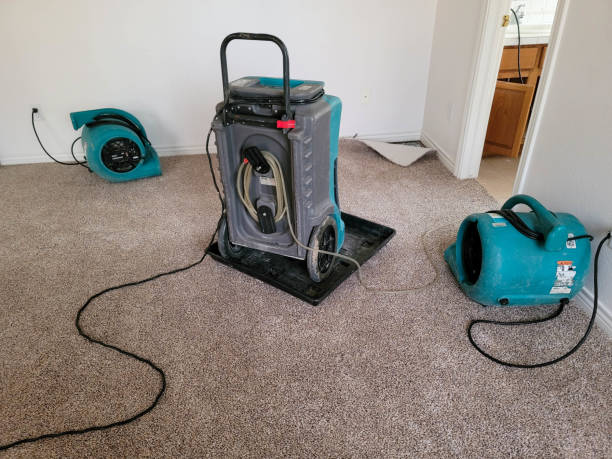 Best Fire Damage Restoration  in Woodbine, GA