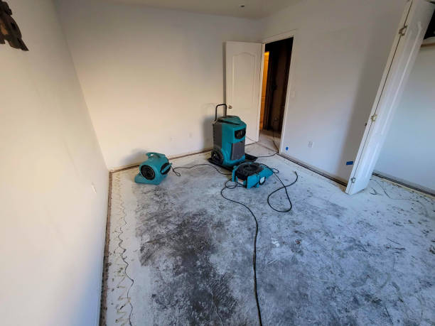 Best Emergency water extraction  in Woodbine, GA