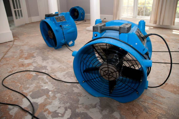Best Water damage cleanup near me  in Woodbine, GA