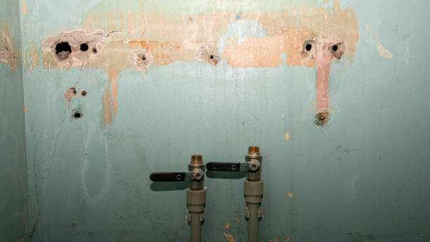 Best Professional water damage repair  in Woodbine, GA