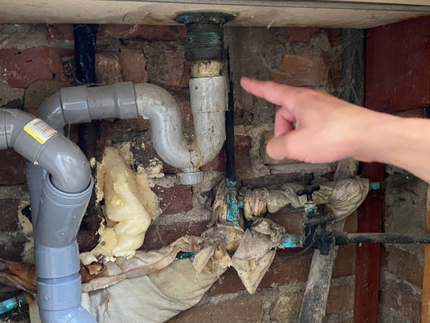 Best Ceiling water damage repair  in Woodbine, GA