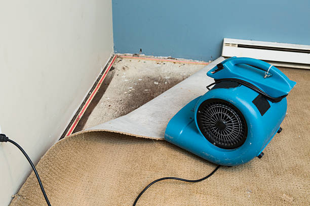 Water damage restoration experts in GA